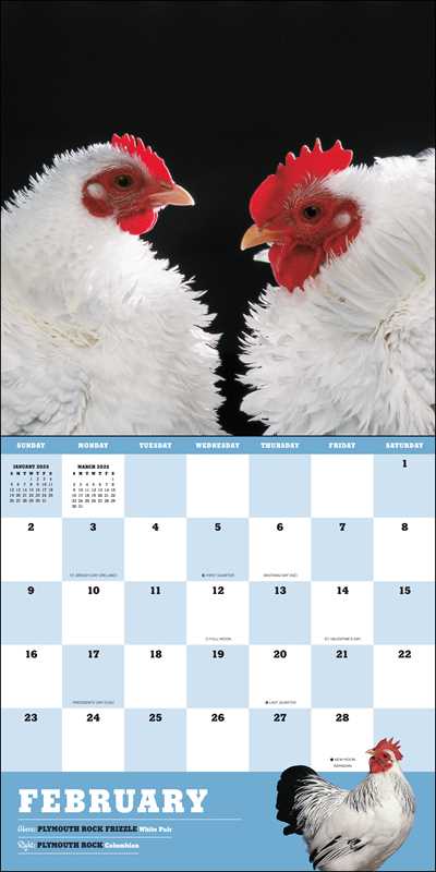 Extraordinary Chickens 2025 Wall Calendar by Stephen Green-Armytage