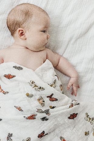 Butterfly Migration Crib Sheet