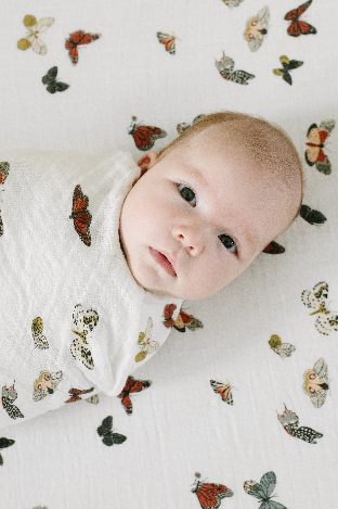 Butterfly Migration Crib Sheet