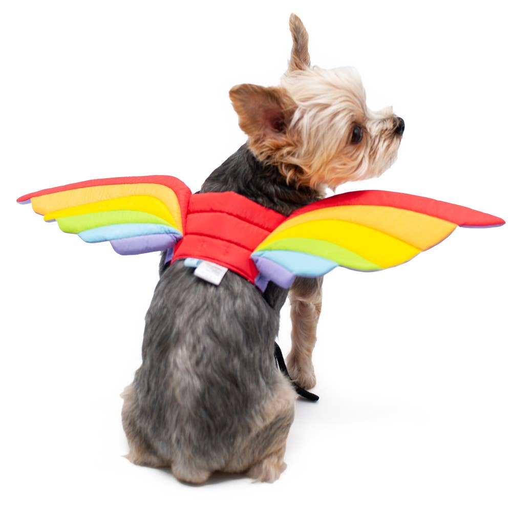 Rainbow Wings