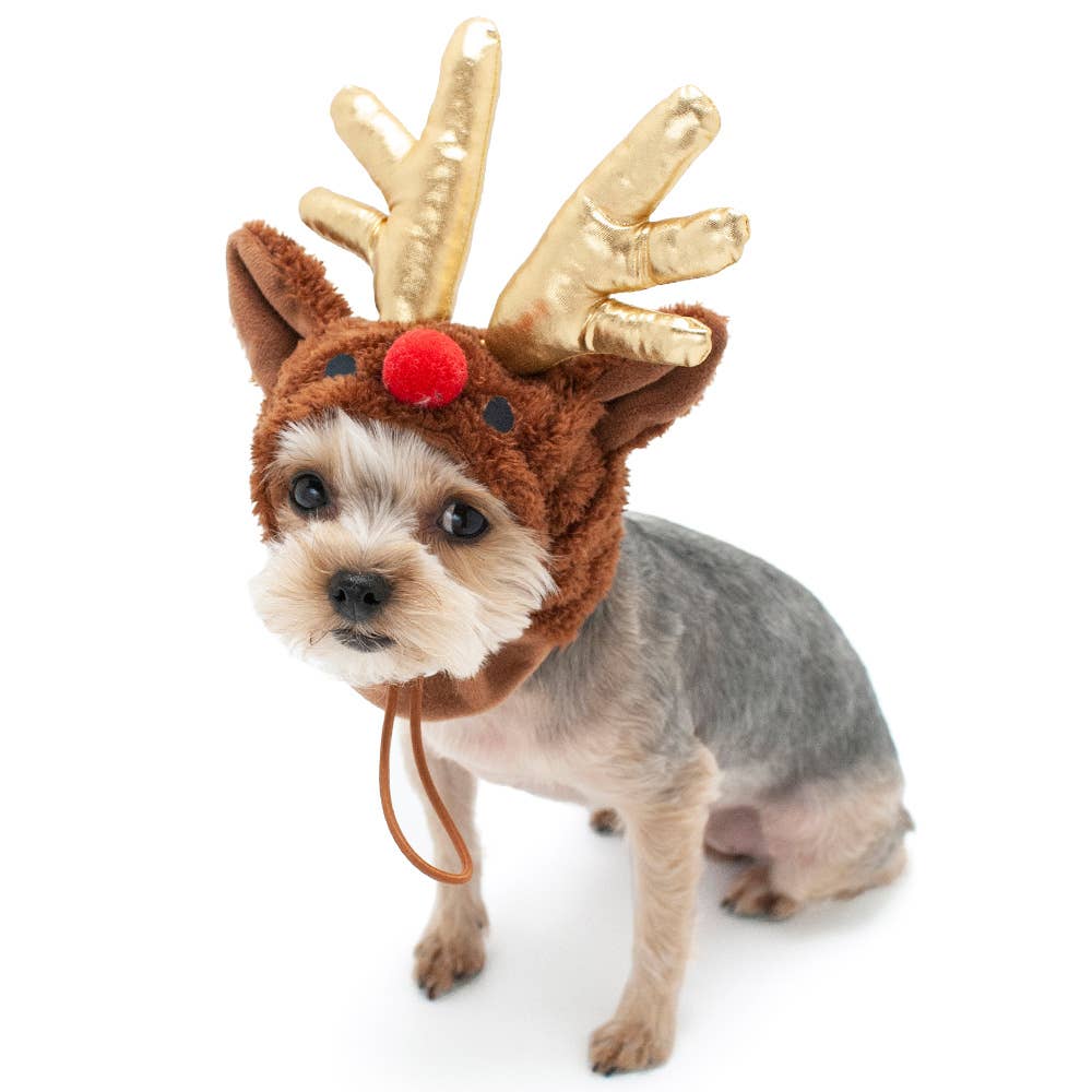 Rudolph Hat