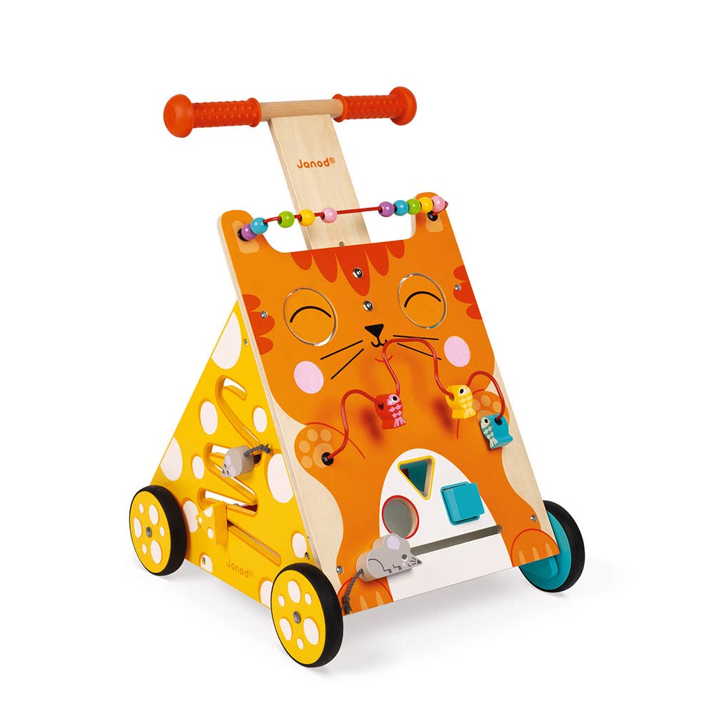 Multi-activities Cat Baby Walker