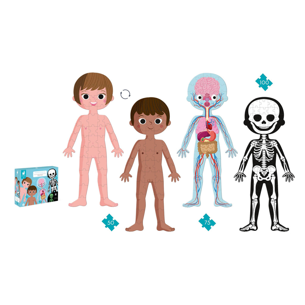 Human Body Educational Puzzle