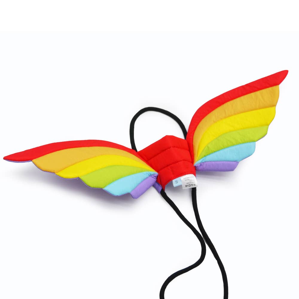 Rainbow Wings