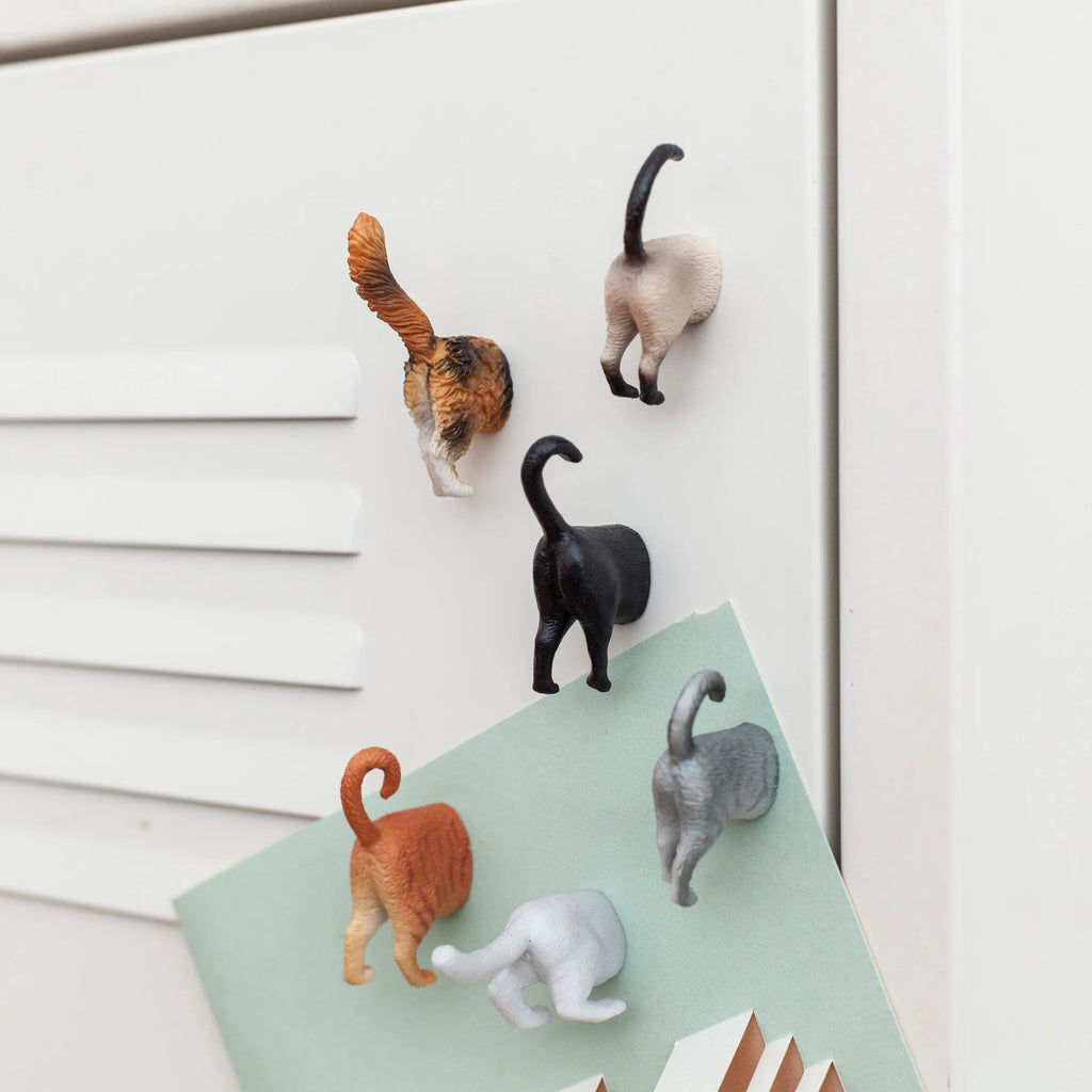 Cat Butt Magnets