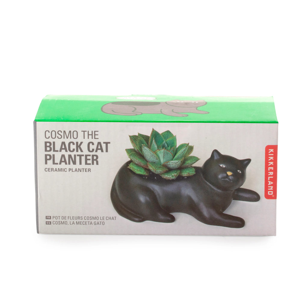 Cosmo the Black Cat Planter