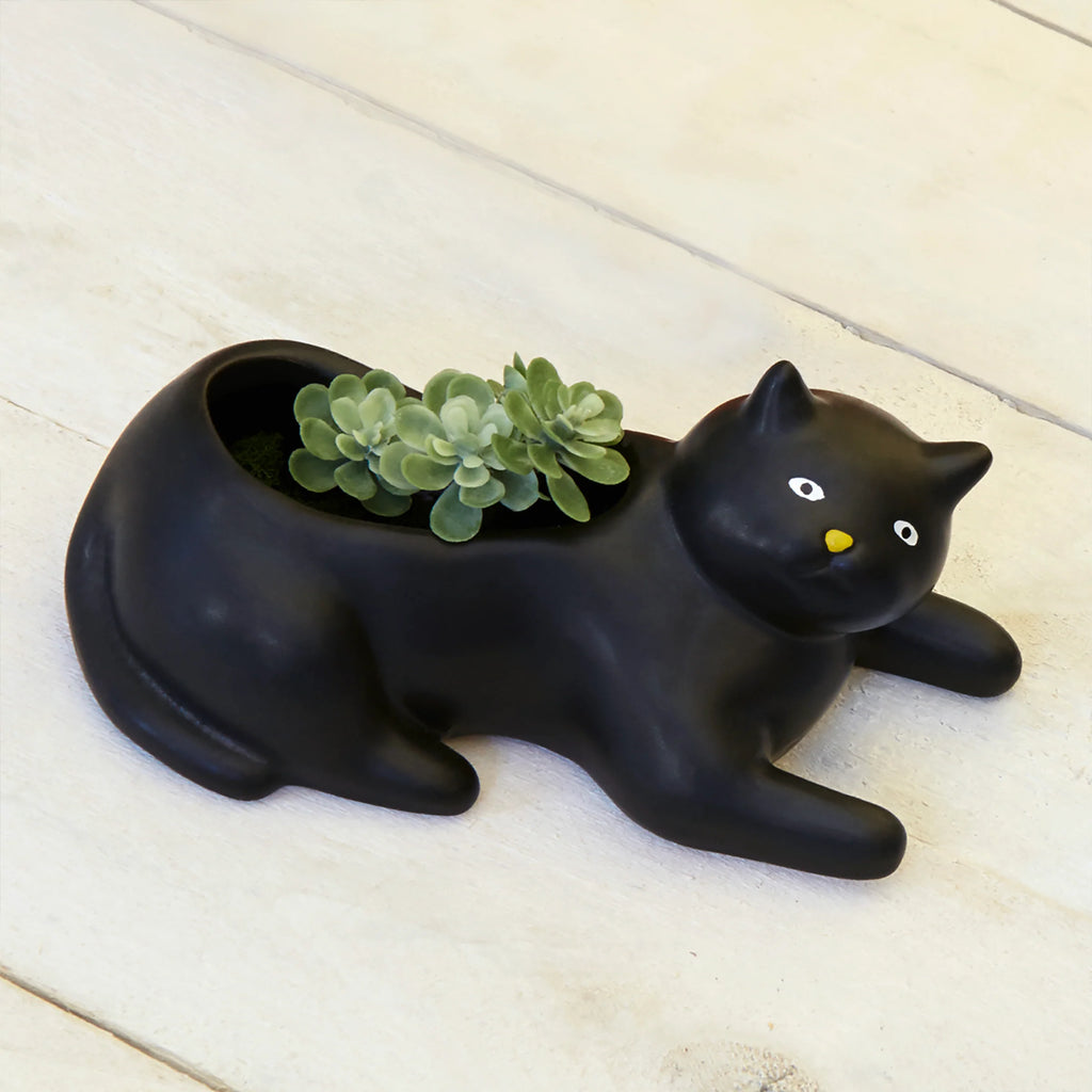 Cosmo the Black Cat Planter