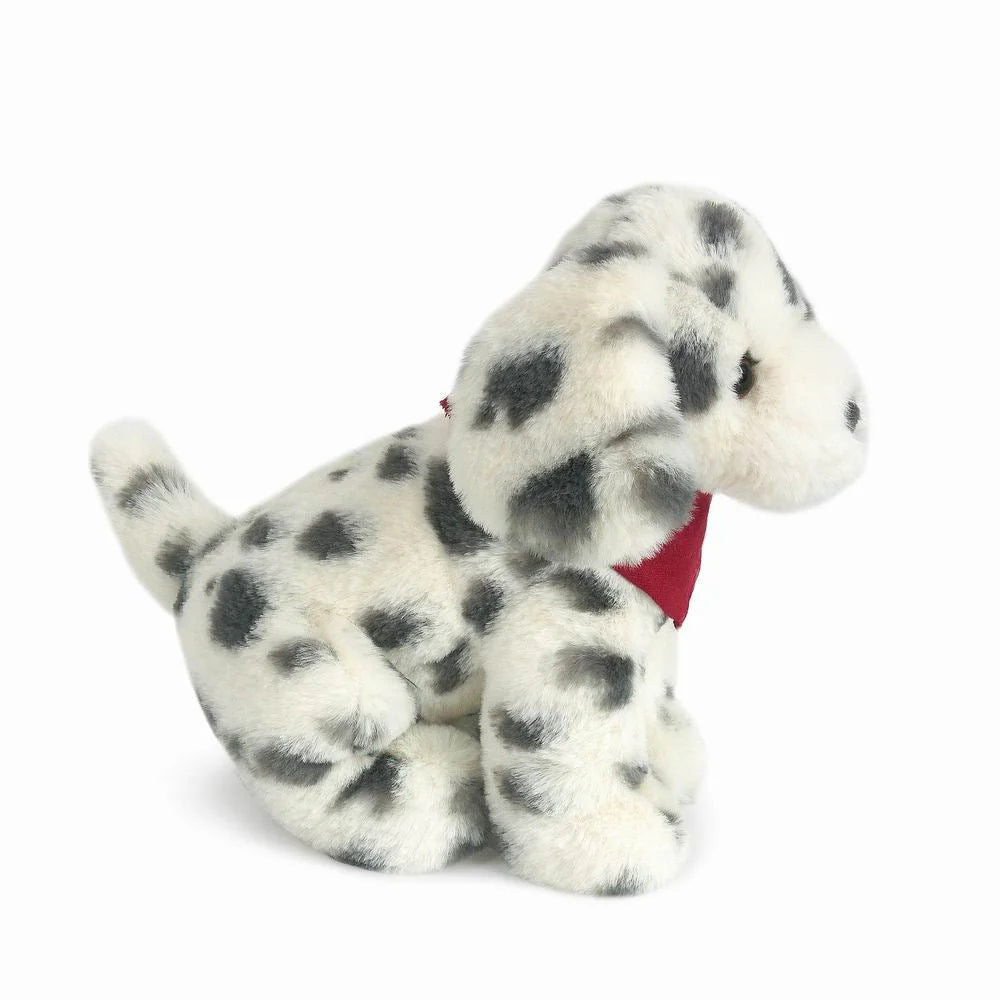 Smudge Dalmation