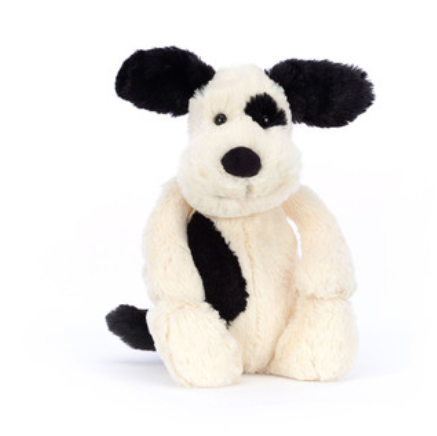 Bashful Black & Cream Puppy