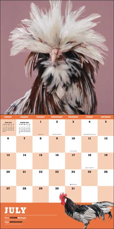 Extraordinary Chickens 2025 Wall Calendar by Stephen Green-Armytage