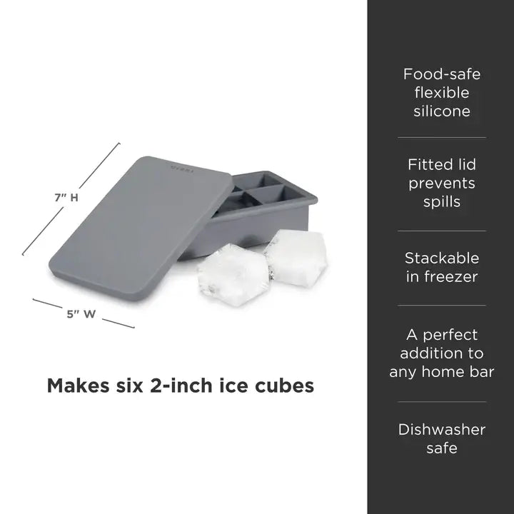 Professional: Whiskey Ice Cube Tray with Lid