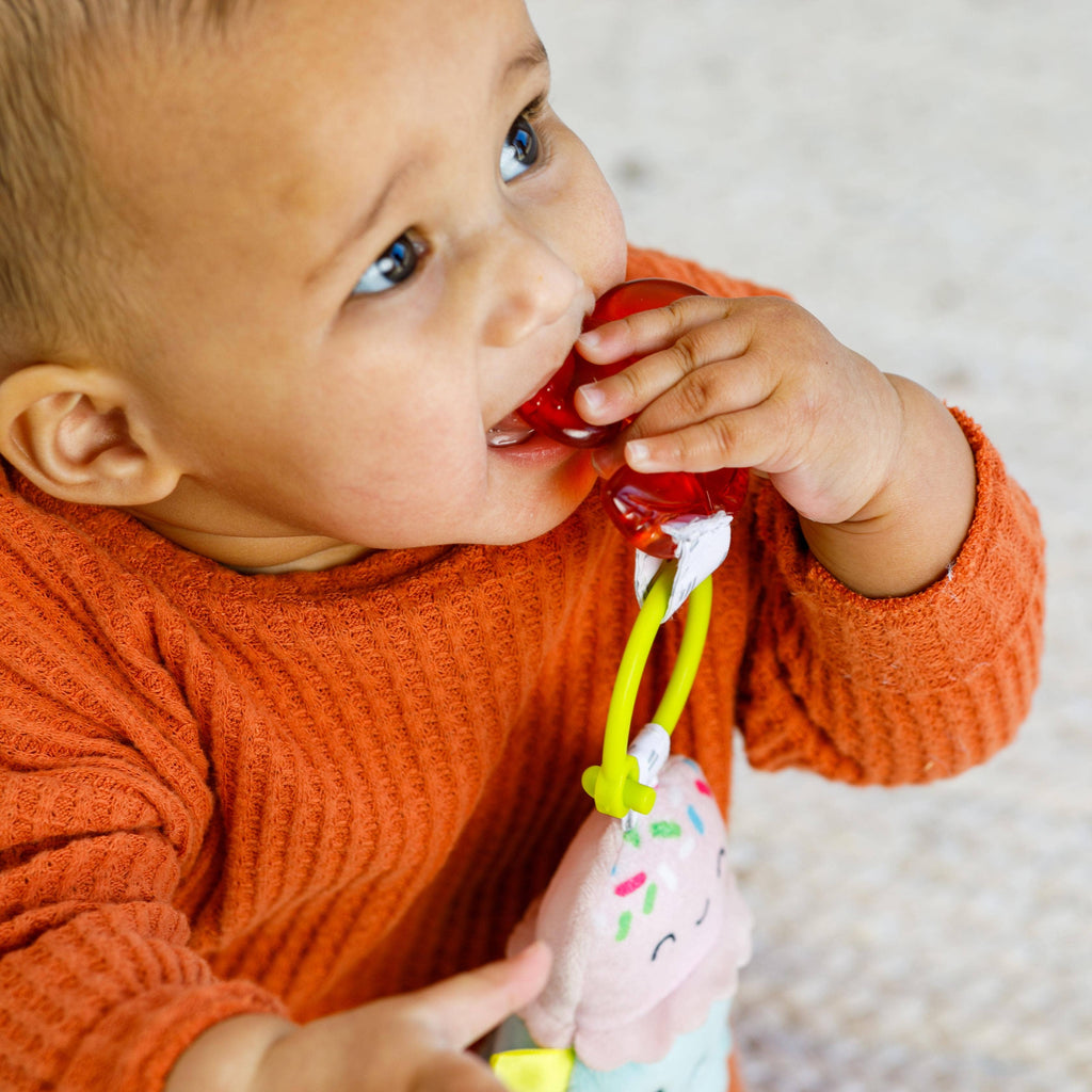 Plushy Pal & Teether Ice Cream