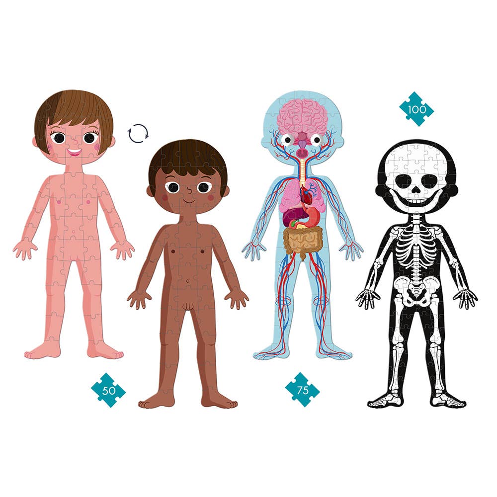 Human Body Educational Puzzle