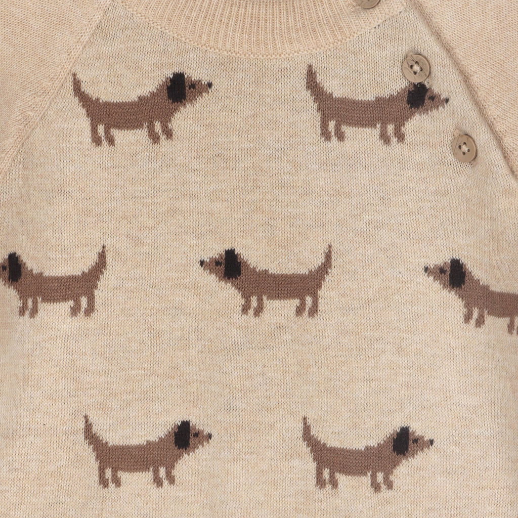 Doxie Dog Jacquard Knit Baby Raglan Pullover (Organic)