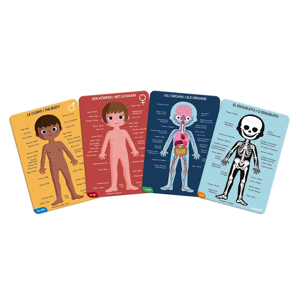 Human Body Educational Puzzle