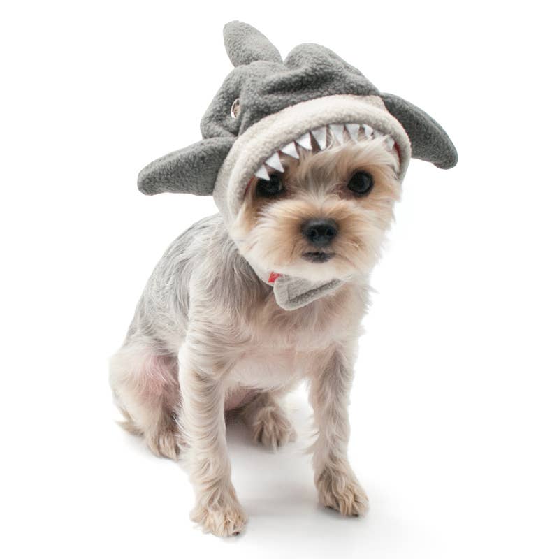 Shark Hat