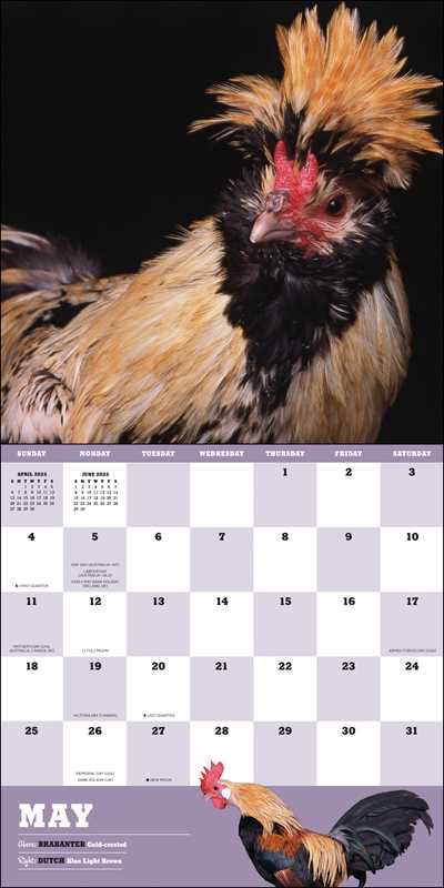 Extraordinary Chickens 2025 Wall Calendar by Stephen Green-Armytage