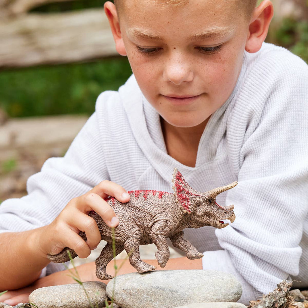 Triceratops Dinosaur Toy