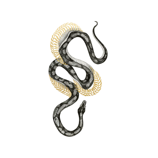 Shimmering Serpent Tattoo