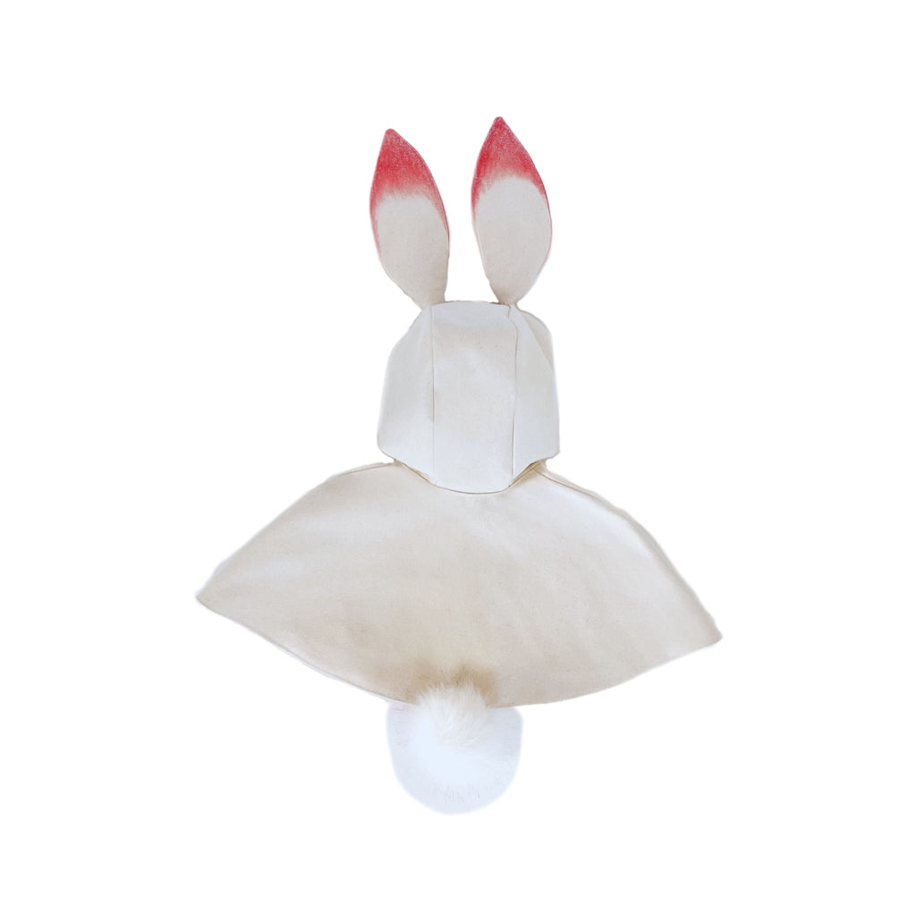 Bunny Rabbit Costume