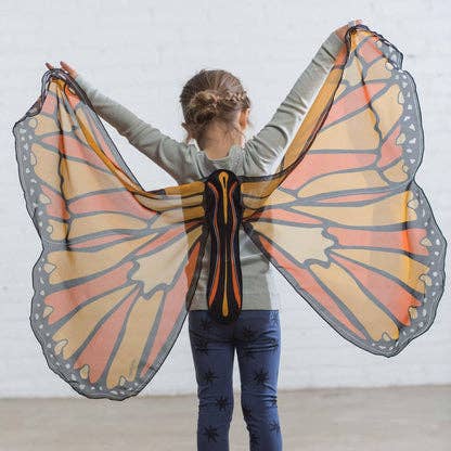 Colorful Butterfly Wings