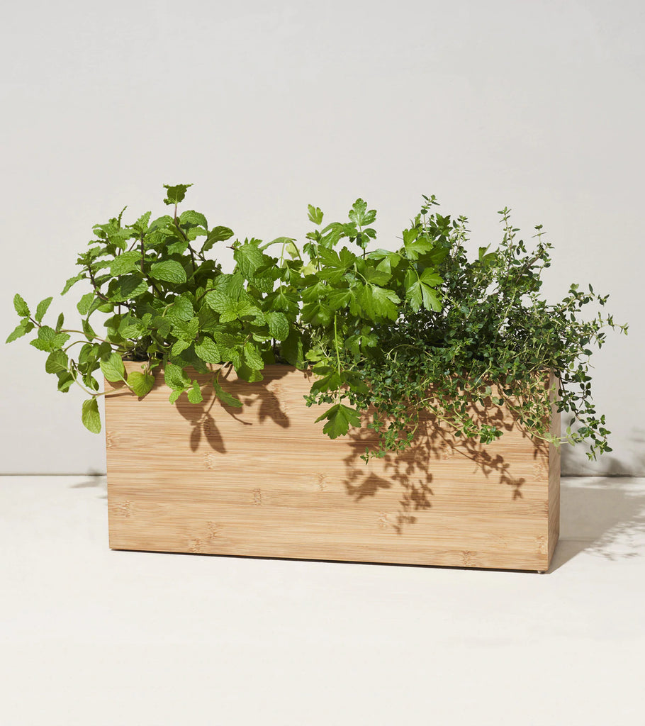 Smart Hydroplanter