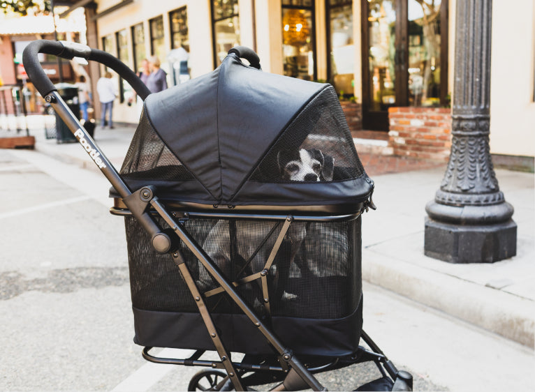 Pootler 2-in-1 Pet Stroller and Carrier