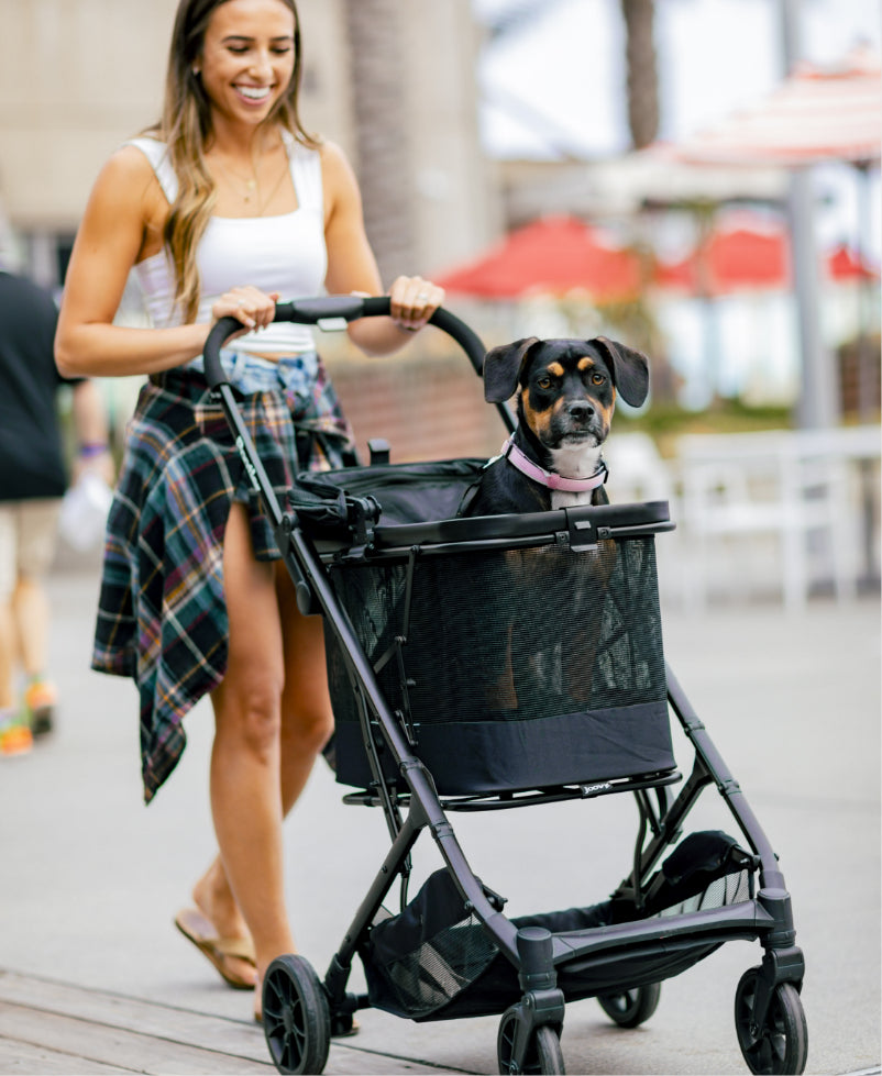 Pootler 2-in-1 Pet Stroller and Carrier