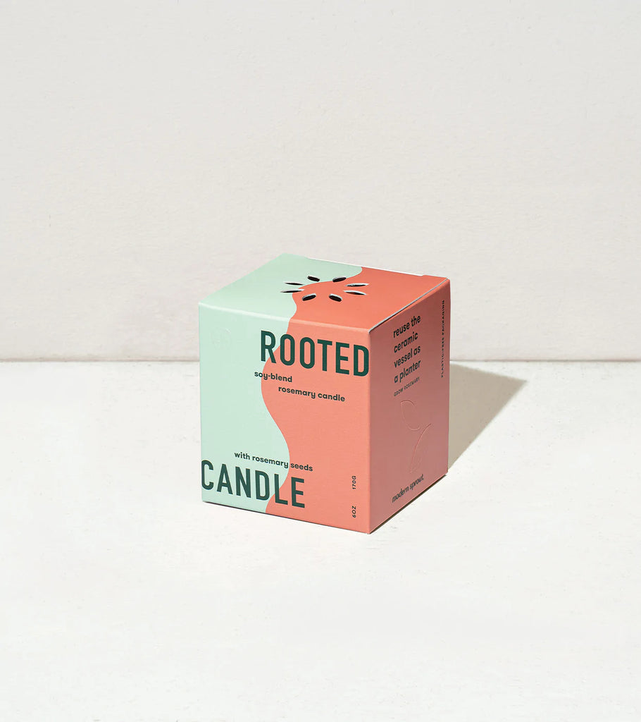 Rooted Candles