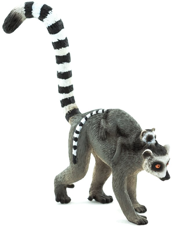 Lemur with baby