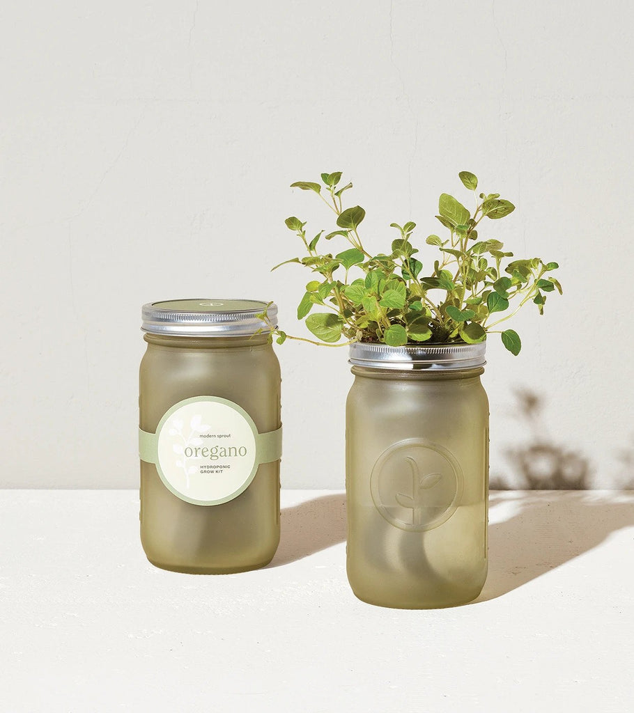 Garden Jar Oregano Indoor Garden Kit