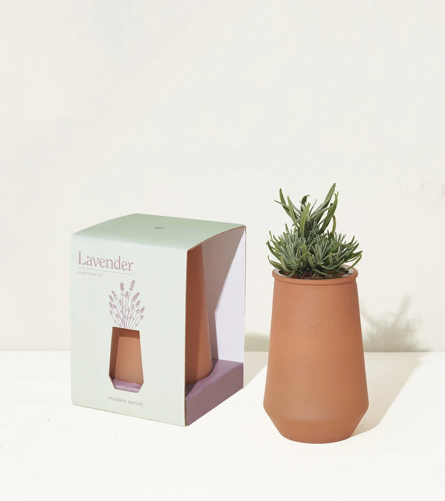 Tapered Tumbler Lavender Grow Kit